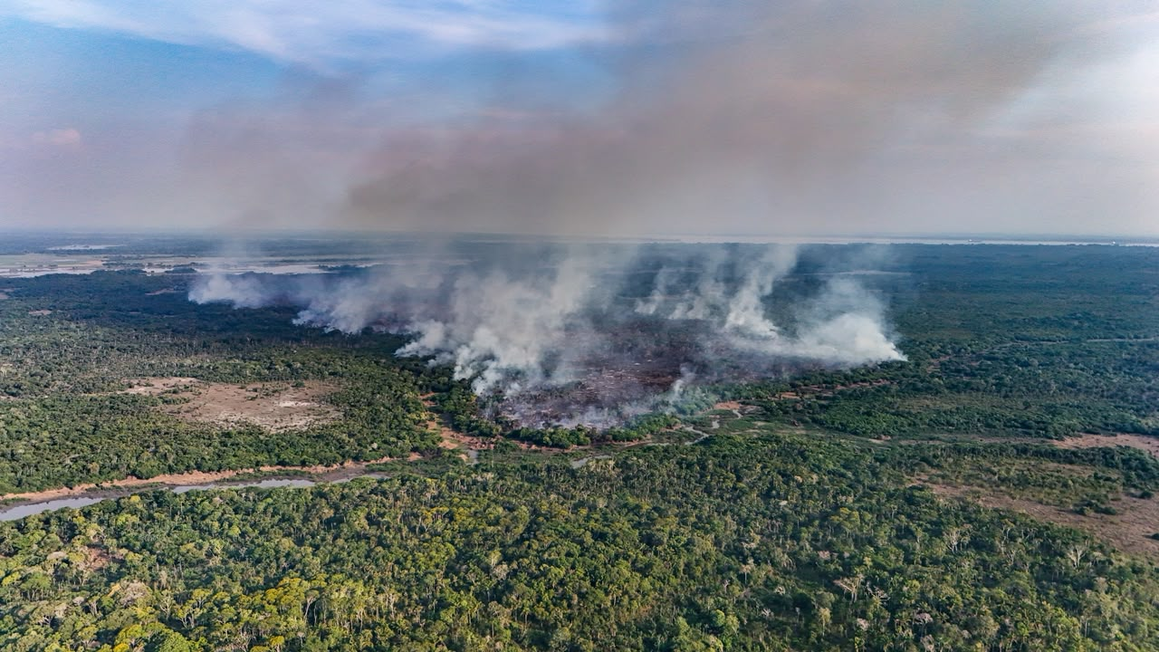 Fogo se espalha por mata há uma semana e já atinge 686 hectares no interior do Amazonas
