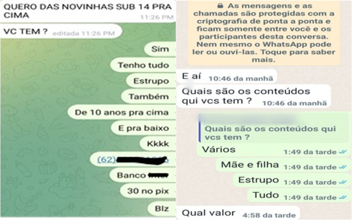 Grupos para venda de conteúdo de pornografia infantil e envio de amostras  tinham mais de 300 integrantes, diz delegada | Goiás | G1