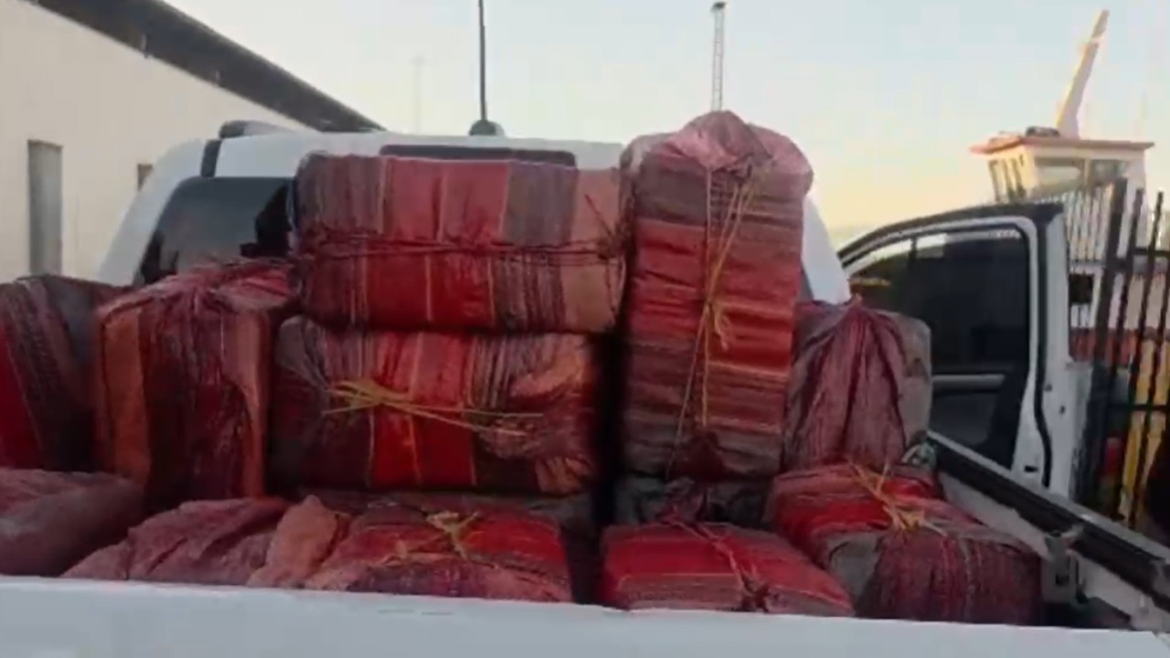 Cerca de 700 quilos de skunk, armas e munições são apreendidos em área de mata na zona rural de Manaus; VÍDEO