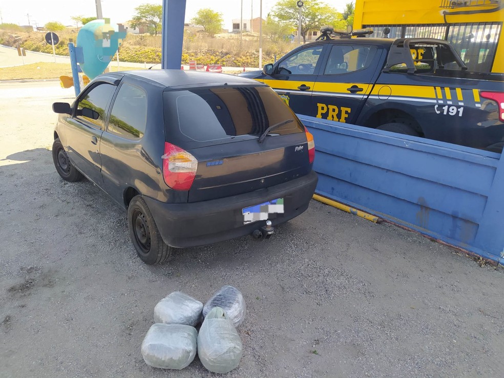 Droga apreendida em Sertânia — Foto: Reprodução