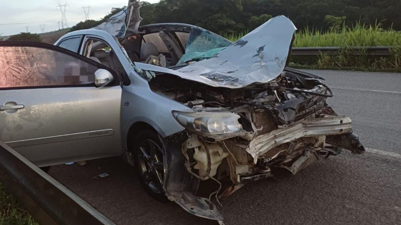 Passageiro morre e motorista foge após carro atropelar cavalo na BR-101 em Palmares