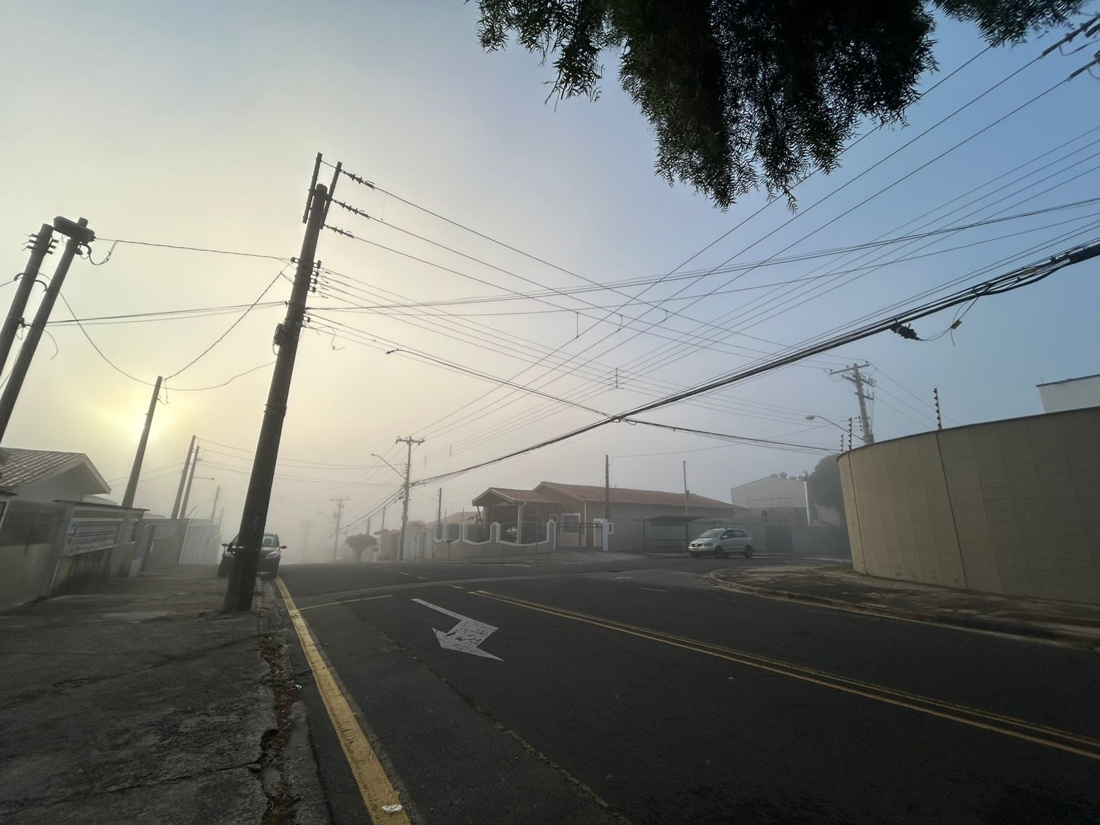 Com mínima na casa dos 10ºC, região de Campinas amanhece sob neblina; FOTOS
