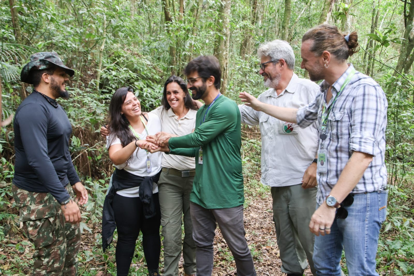 Gato-do-mato volta à natureza após se recuperar de infecção e reaprender a caçar e se proteger