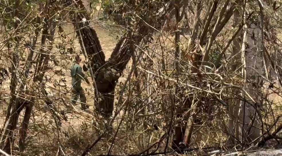 Militares vistoriam área onde avião caiu na Grande Natal — Foto: Sérgio Henrique Santos/Inter TV Cabugi