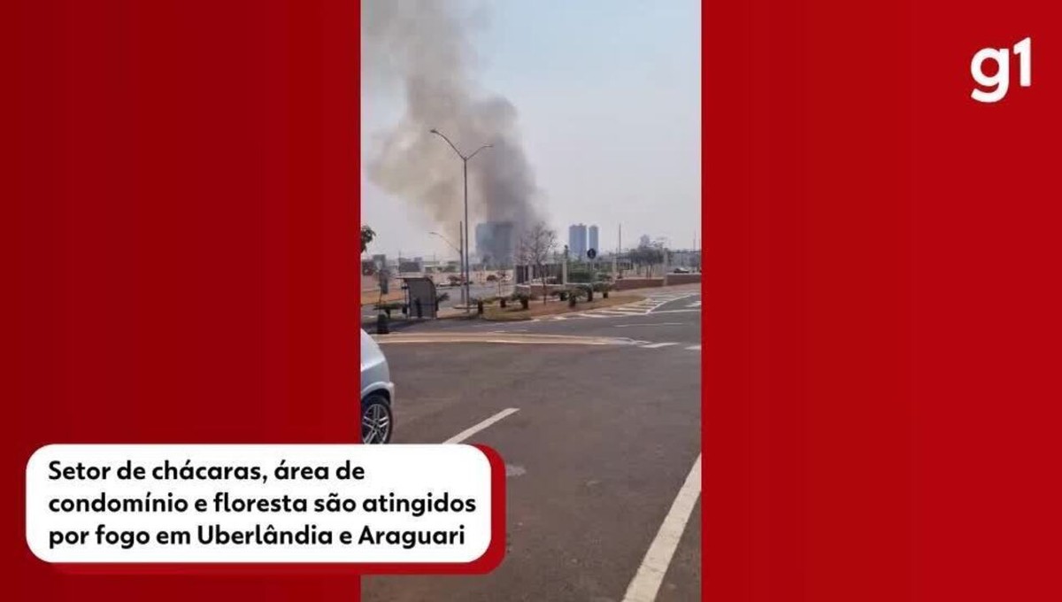 Combate ao incêndio no Parque do Pau Furado segue pelo segundo dia; áreas do setor Norte, Sul e Leste também são atingidas pelo fogo