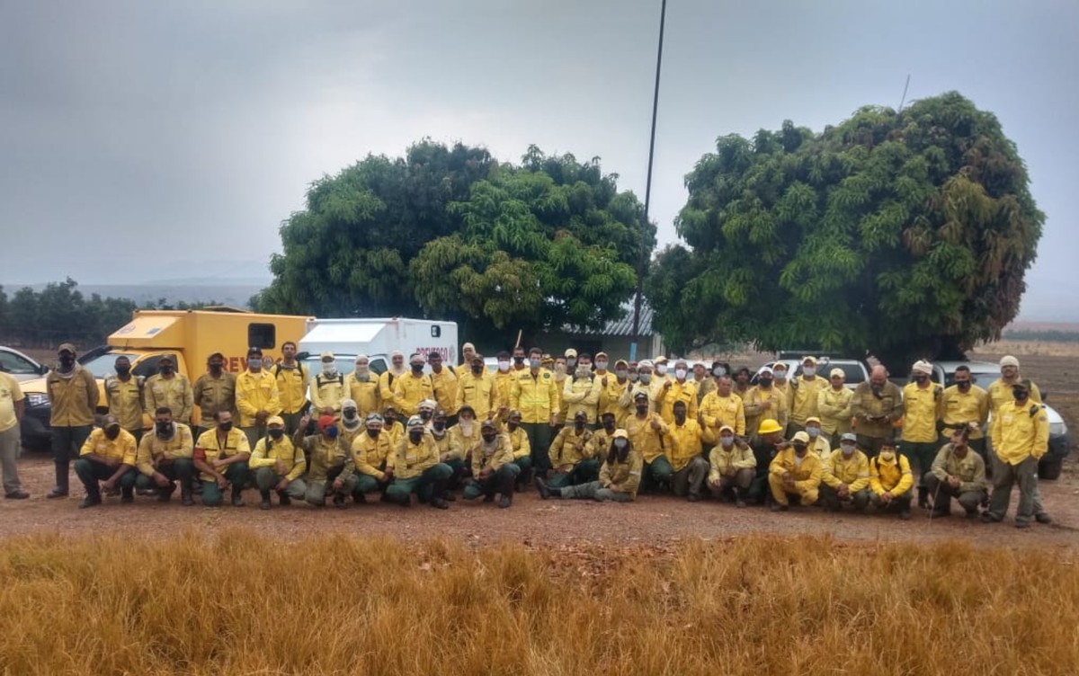 Decisão do Ibama de recolher brigadas de incêndios desmobiliza equipe ...