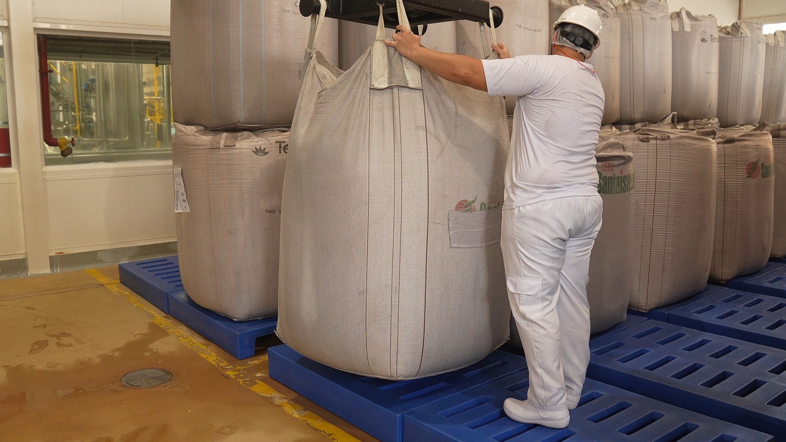 Tecnotri: a trajetória da maior fabricante de pallets da América Latina