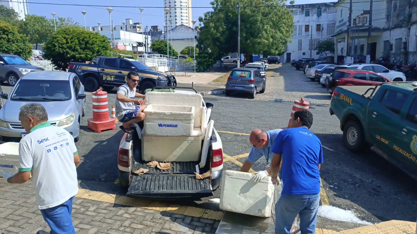 PRF apreende carga com mais de 300 kg de lagosta transportada ilegalmente na Grande Natal