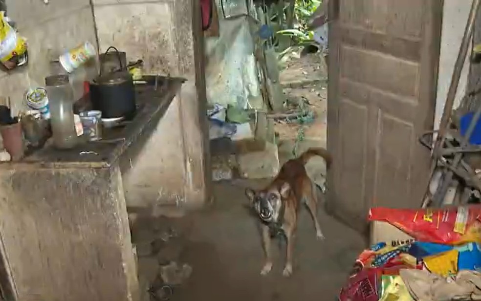 Casa não tem água potável e idoso usava água da chuva para tomar banho — Foto: TV Bahia