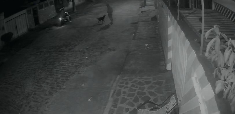 Vídeo registra momento que empresário atira em cachorro após latido, na Paraíba