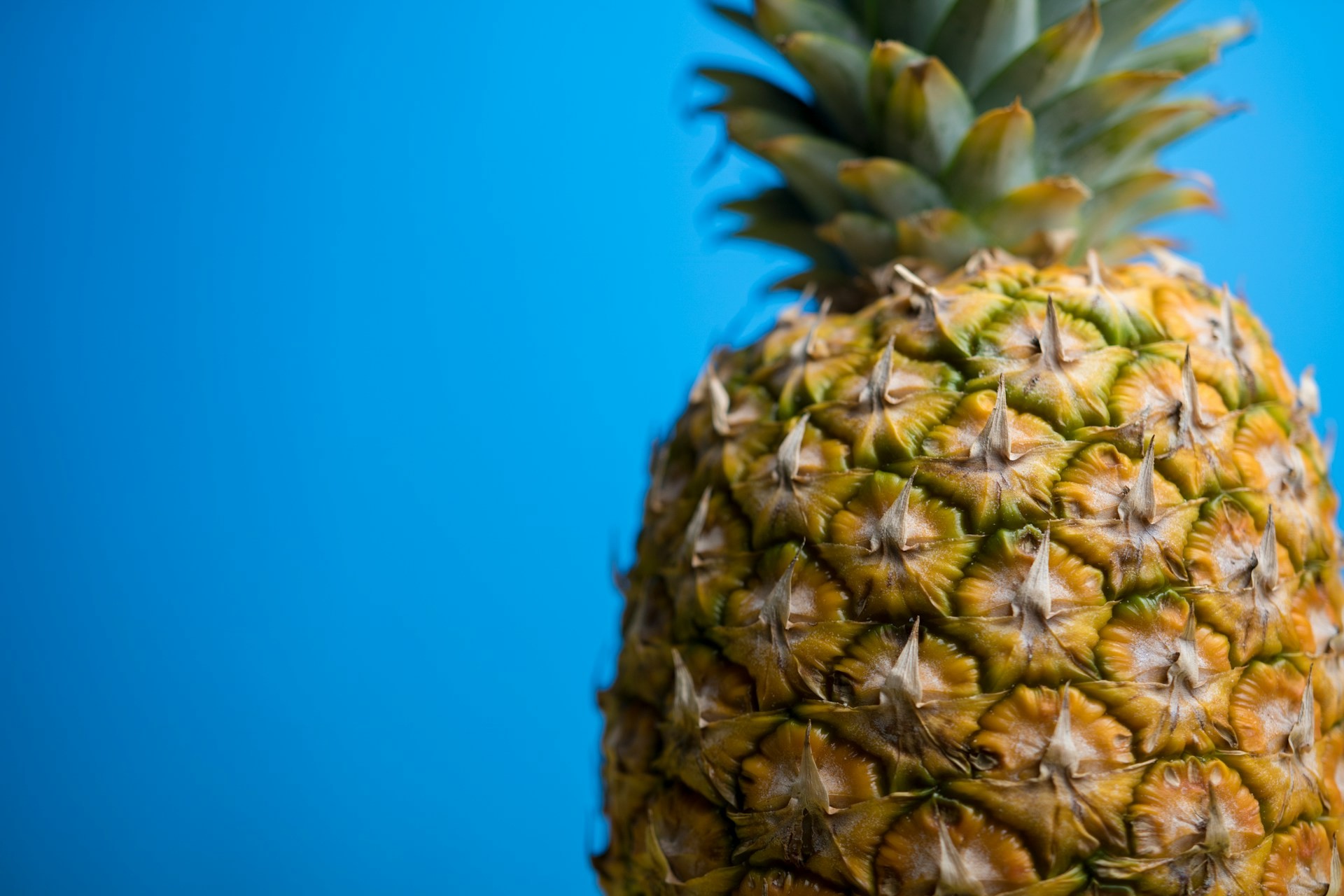 Você sabia? Cada abacaxi é formado por até 200 frutas fundidas