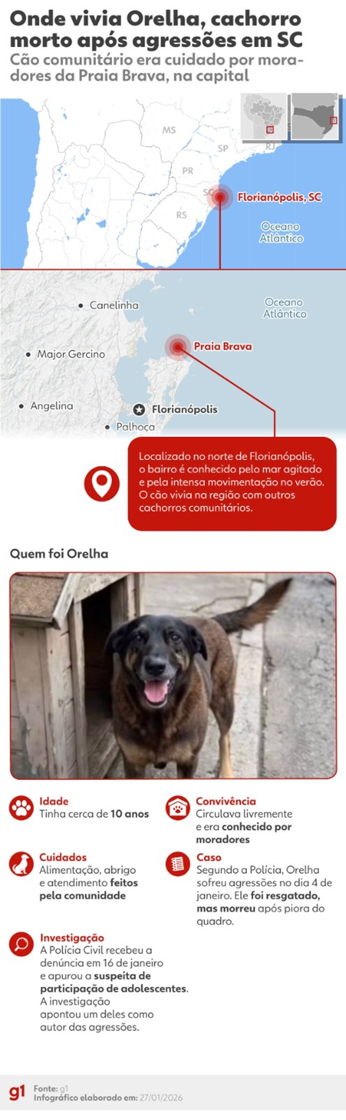 Cão Orelha: Polícia Civil conclui novas diligências sobre caso de cão comunitário morto em SC