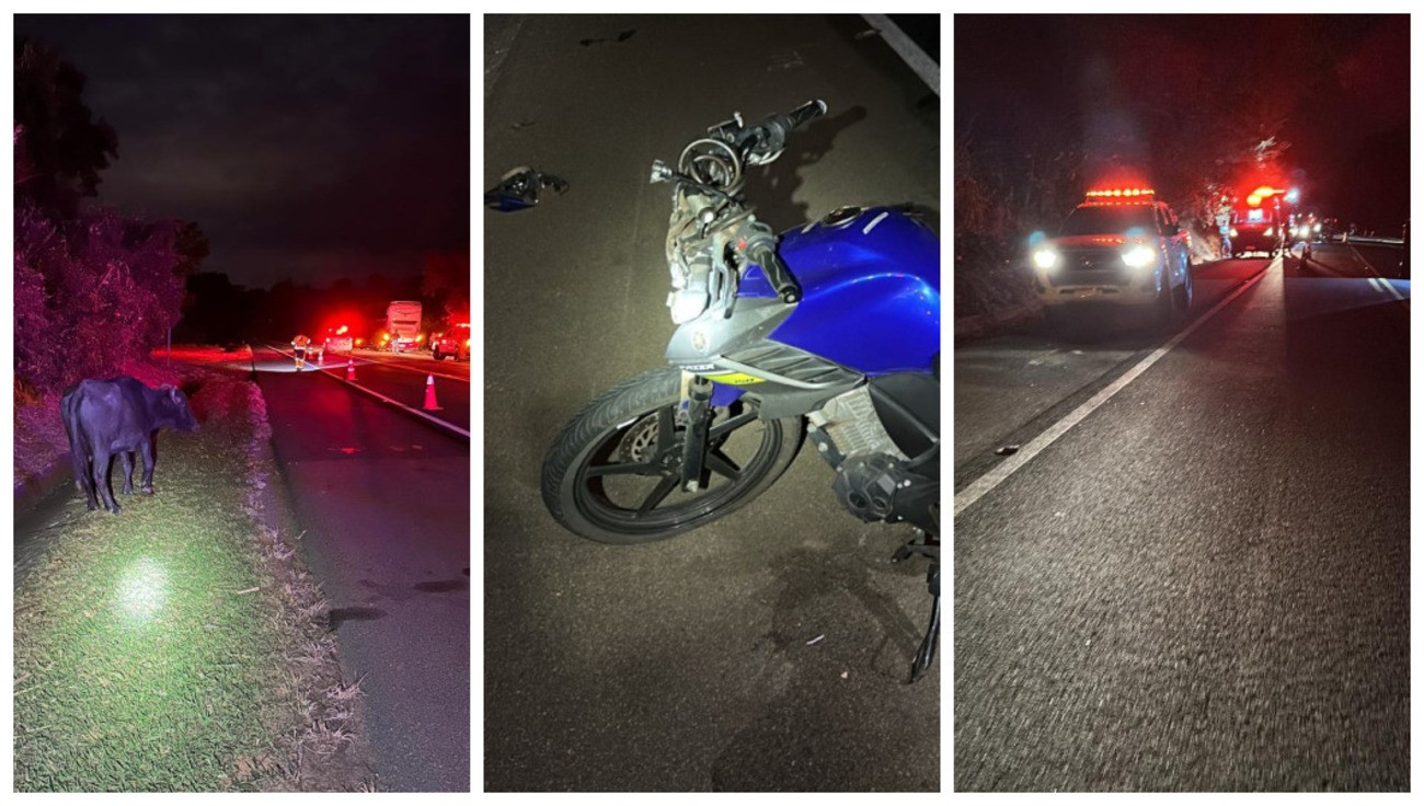 Mulher morre após moto atingir búfalo em rodovia do interior de SP