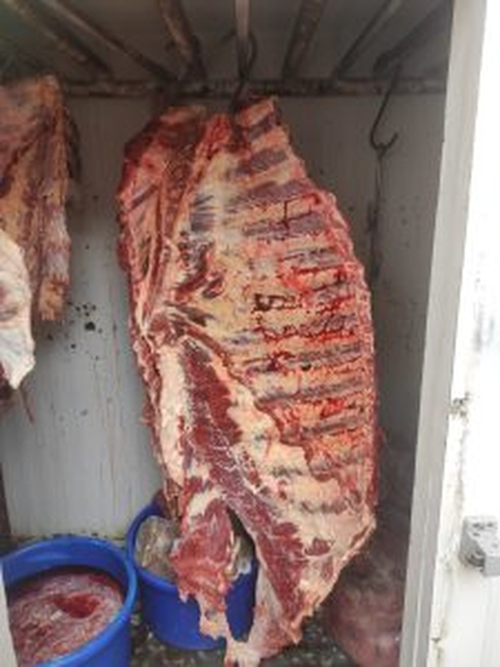 Carne foi entregue  IAGRO ? Foto: Divulgao