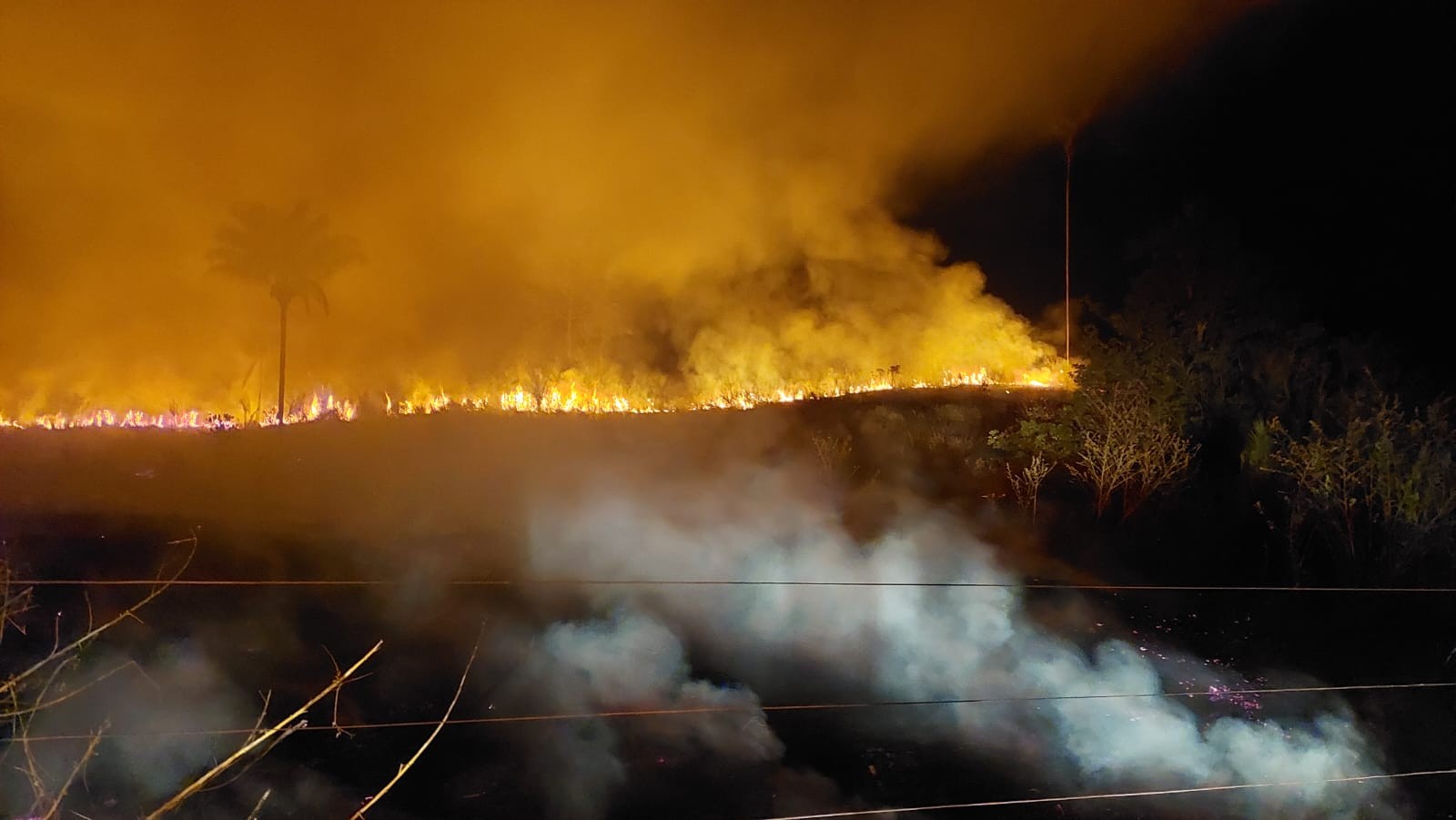 Terra Indígena Apyterewa é alvo de incêndios criminosos, no Pará