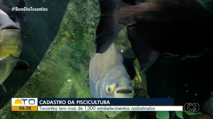 Adapec realiza visitas técnicas para orientar piscicultores no Tocantins