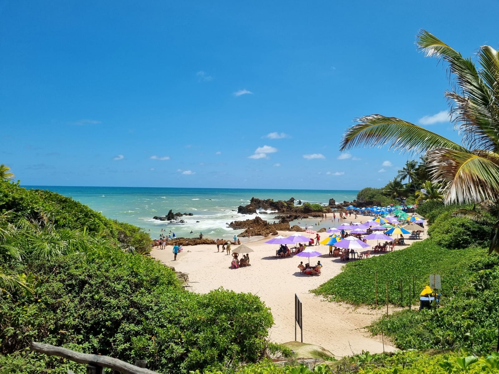 Litoral da Paraíba tem todos os trechos de praias próprios para banho