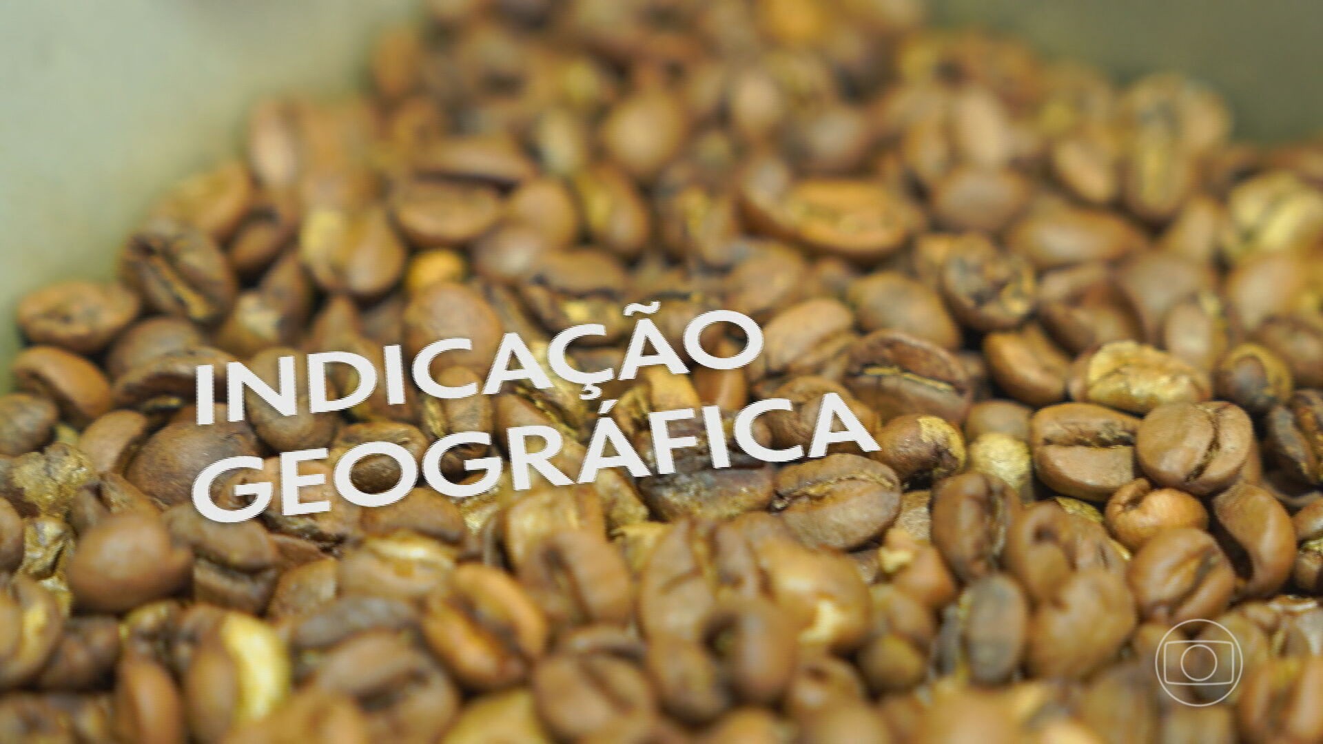 Café da Serra da Canastra, em Minas, recebe registro de Indicação Geográfica; entenda as exigências e os benefícios