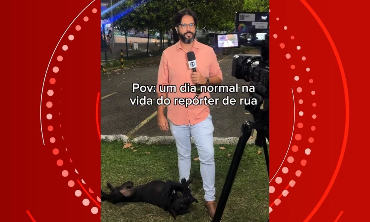 Tutora reencontra cão desaparecido após pet viralizar em vídeo de repórter na Bahia