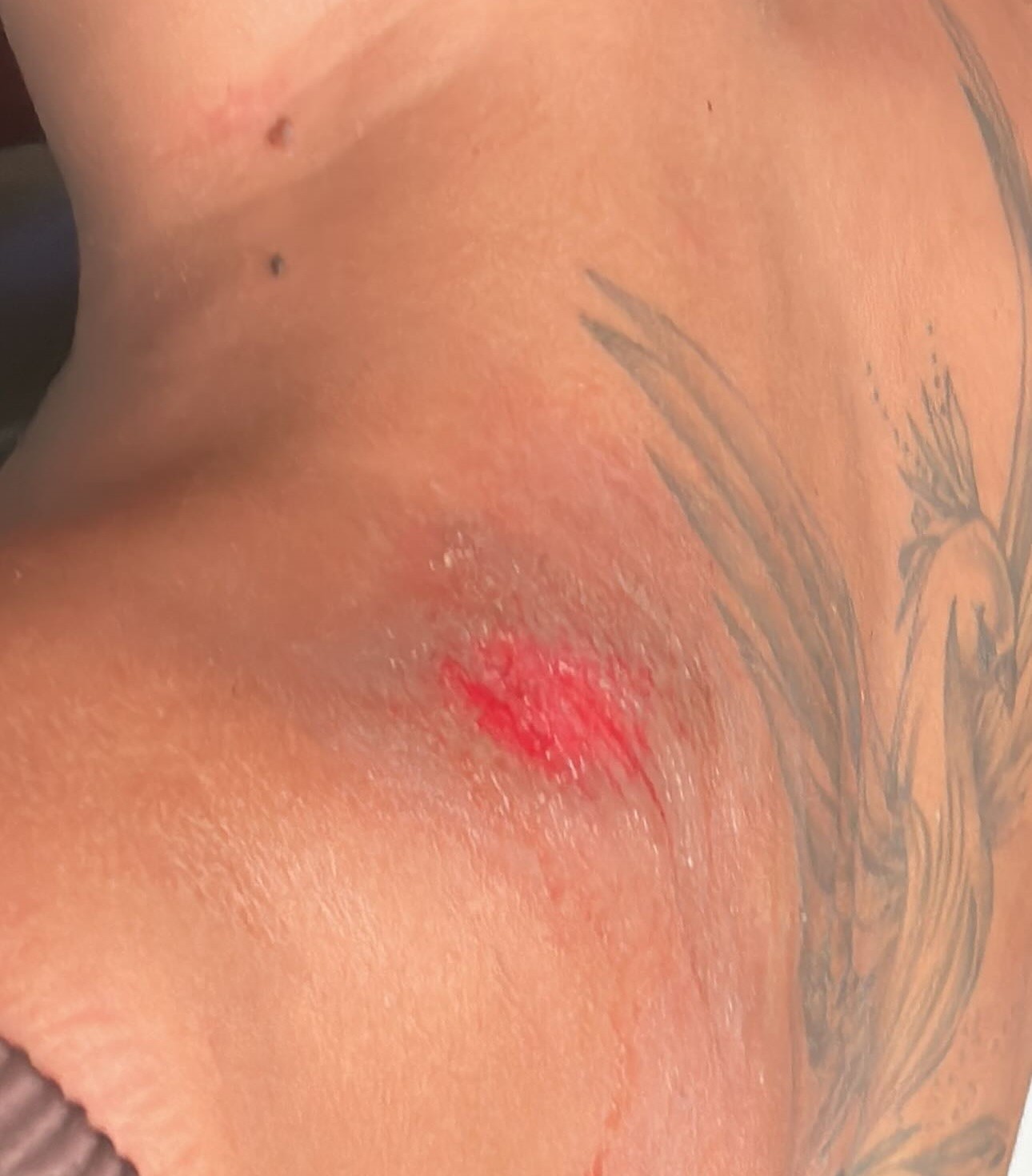 Passageira denuncia perseguição, ameaça e agressão de mototaxista por aplicativo em Maceió; VÍDEO