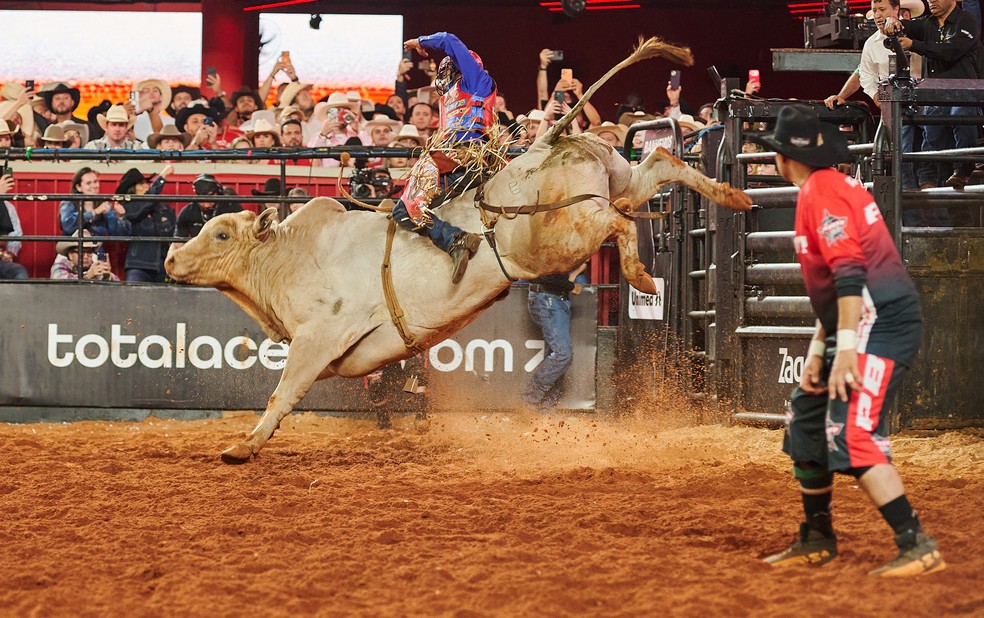Mandraque Jr é eleito o touro do ano pela PBR Brasil — Foto: Érico Andrade/g1
