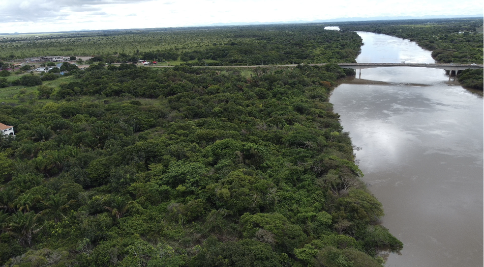 Rio Tacutu divide Lethen, na Guiana, e Bonfim, em Roraima. — Foto: Vinícius Assis/Rede Amazônica