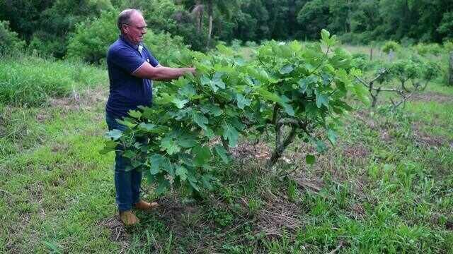 Após 10 anos, Feira Sabores do Paraná é retomada