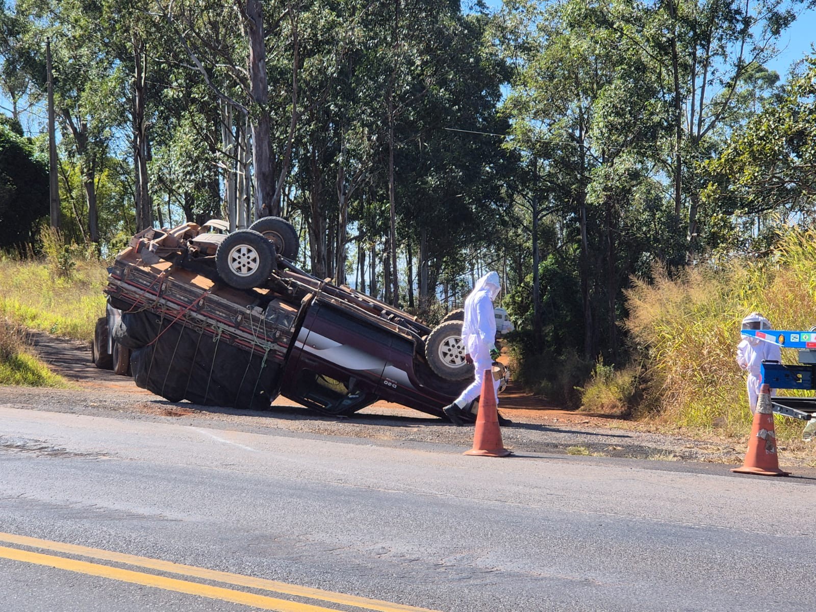 Caminhonete com 40 caixas de abelhas vivas capota na BR-262 em Araxá