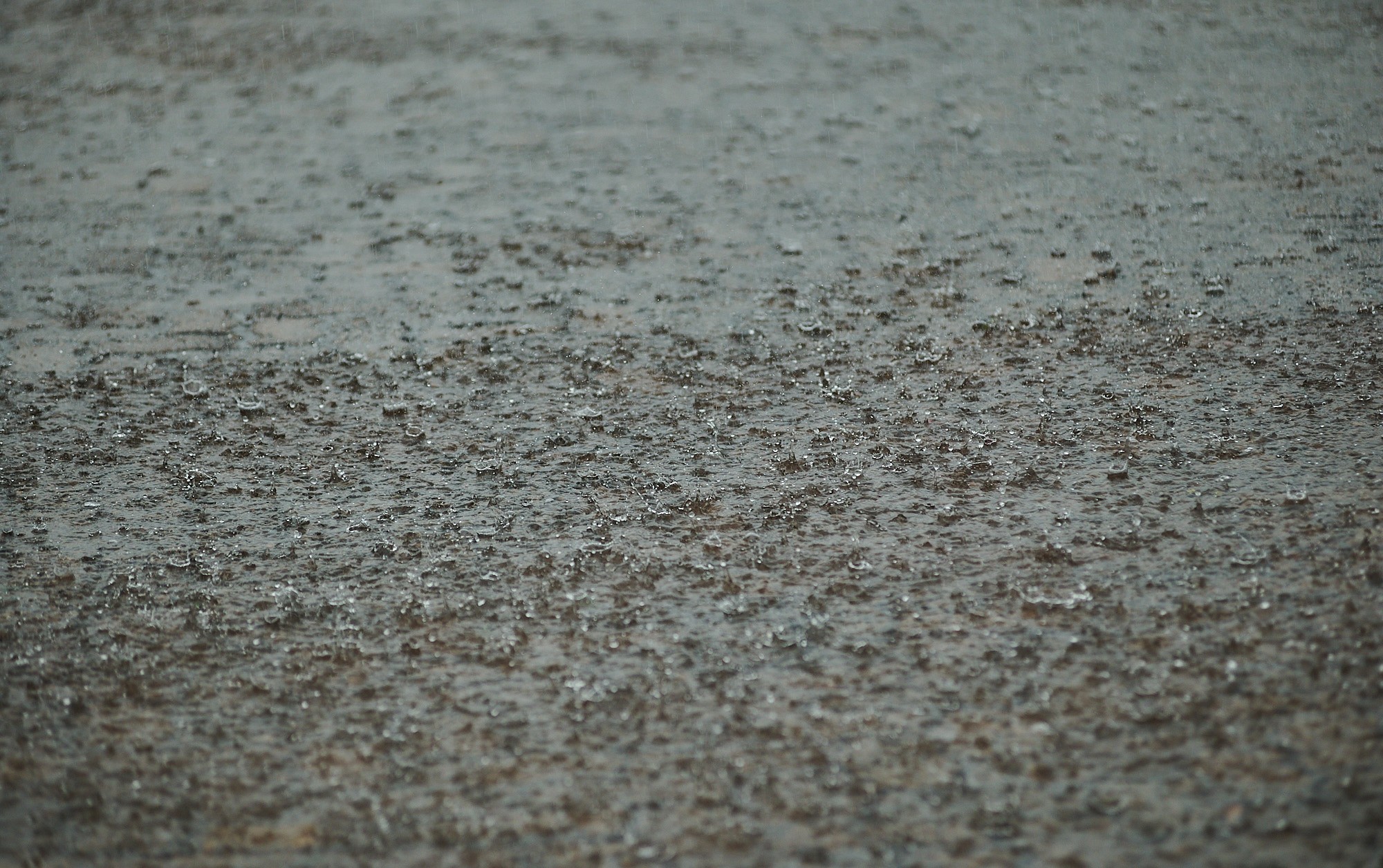 Em 10 dias, Ribeirão Preto, SP, já registrou 84% da chuva prevista para fevereiro