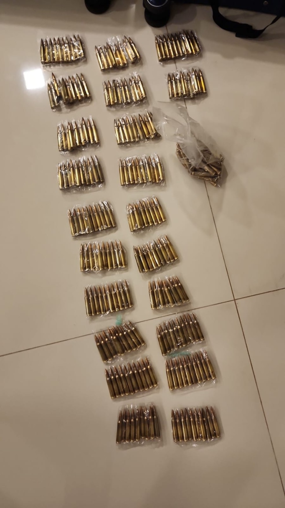 Munições foram encontradas em mansão na Barra da Tijuca — Foto: Divulgação