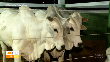 ExpoBrasil: confira os principais destaques da feira agropecuária em Paraíso