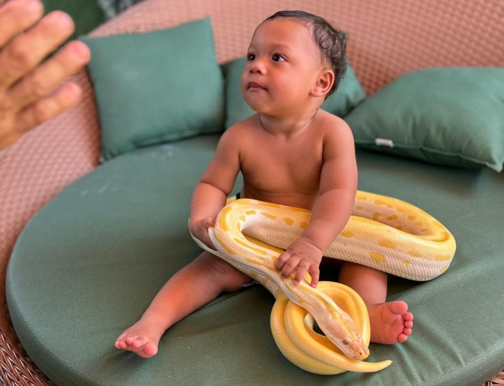 Bebê com cobra píton albina — Foto: Arquivo pessoal