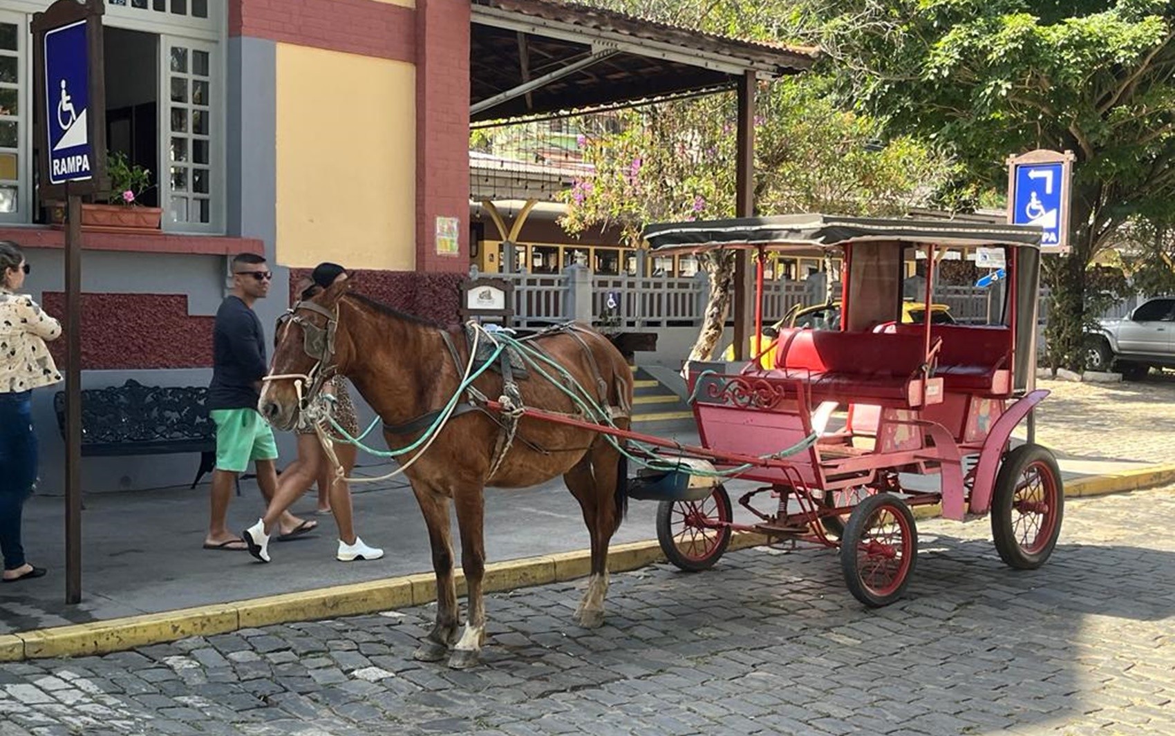 Cidades turísticas buscam alternativas para acabar com charretes de tração animal no Sul de Minas