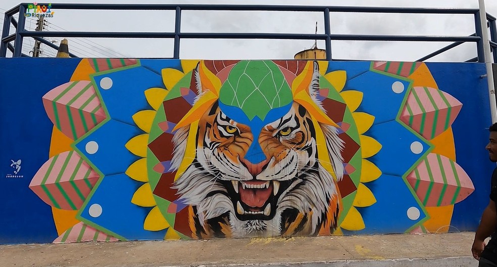 Artista plástico transforma ruas e avenidas de Barras com a aerografia — Foto: Jairo Silva/TV Clube