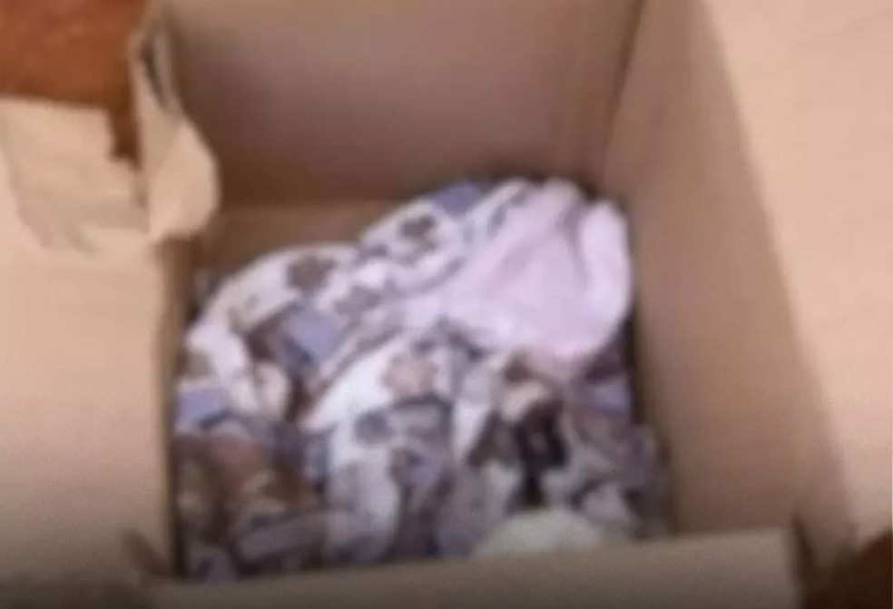 Morador escuta barulho no portão e encontra bebê abandonado — Foto: Divulgação