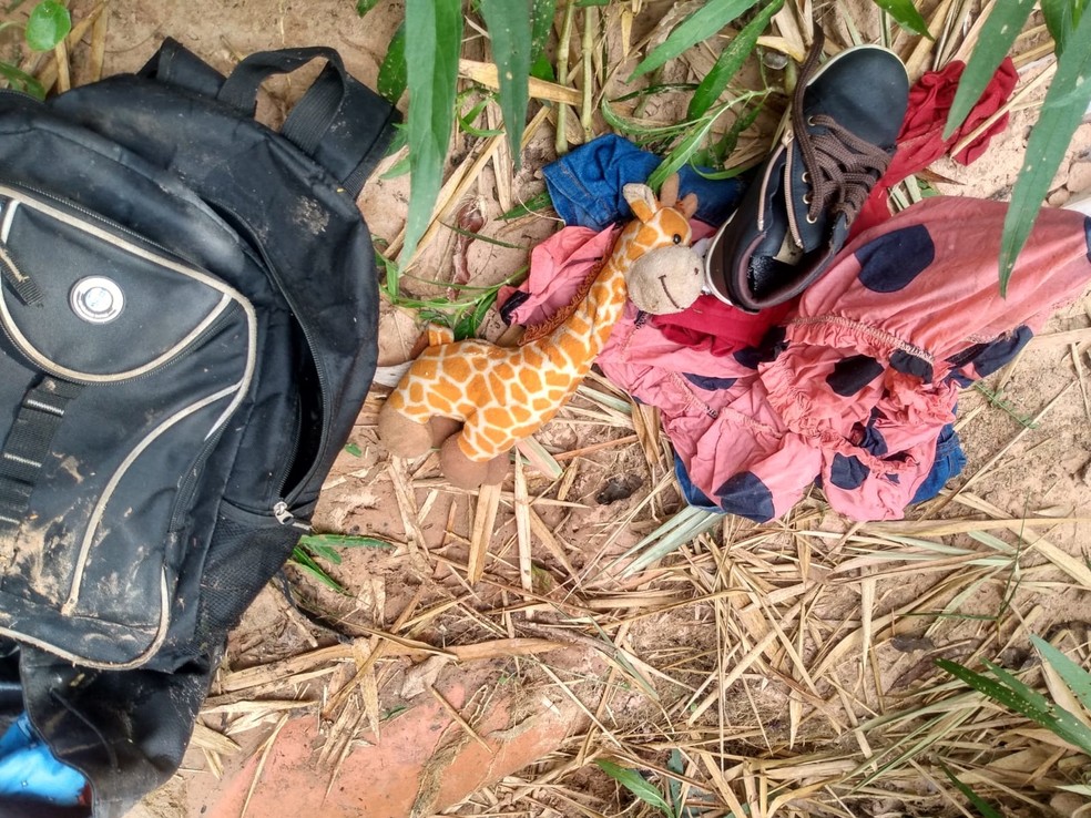 Equipes realizam buscas por garoto desaparecido em área de mata em Santo Anastácio (SP) — Foto: Redes sociais