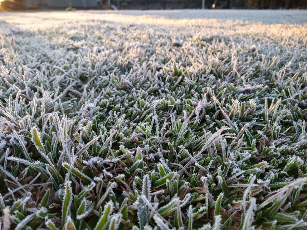 Frio e geada em General Carneiro, no Paraná — Foto: Ana Maria Mello Jekel
