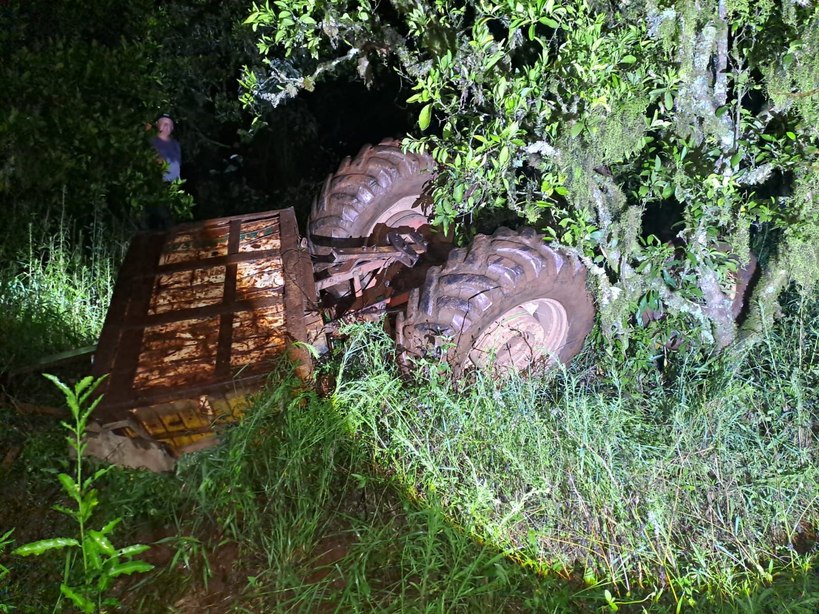 Bombeiros vão atender ocorrência de ataque de abelhas e encontram homem morto na Serra Gaúcha