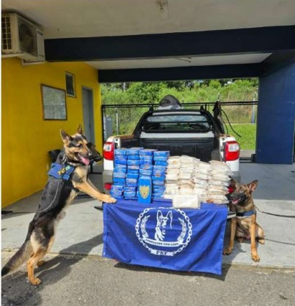Apreensões diversas de cocaína resultaram na identificação de grupo criminoso e realização de operação — Foto: Polícia Federal/Guaíra