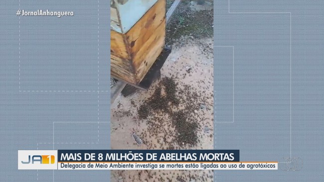 Fazendeiros so indiciados por morte de quase de 9 milhes de abelhas em Gois