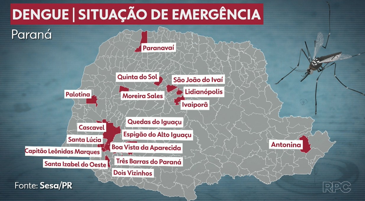 Dengue: 18 cidades do Paraná estão em situação de emergência por conta da doença; veja quais