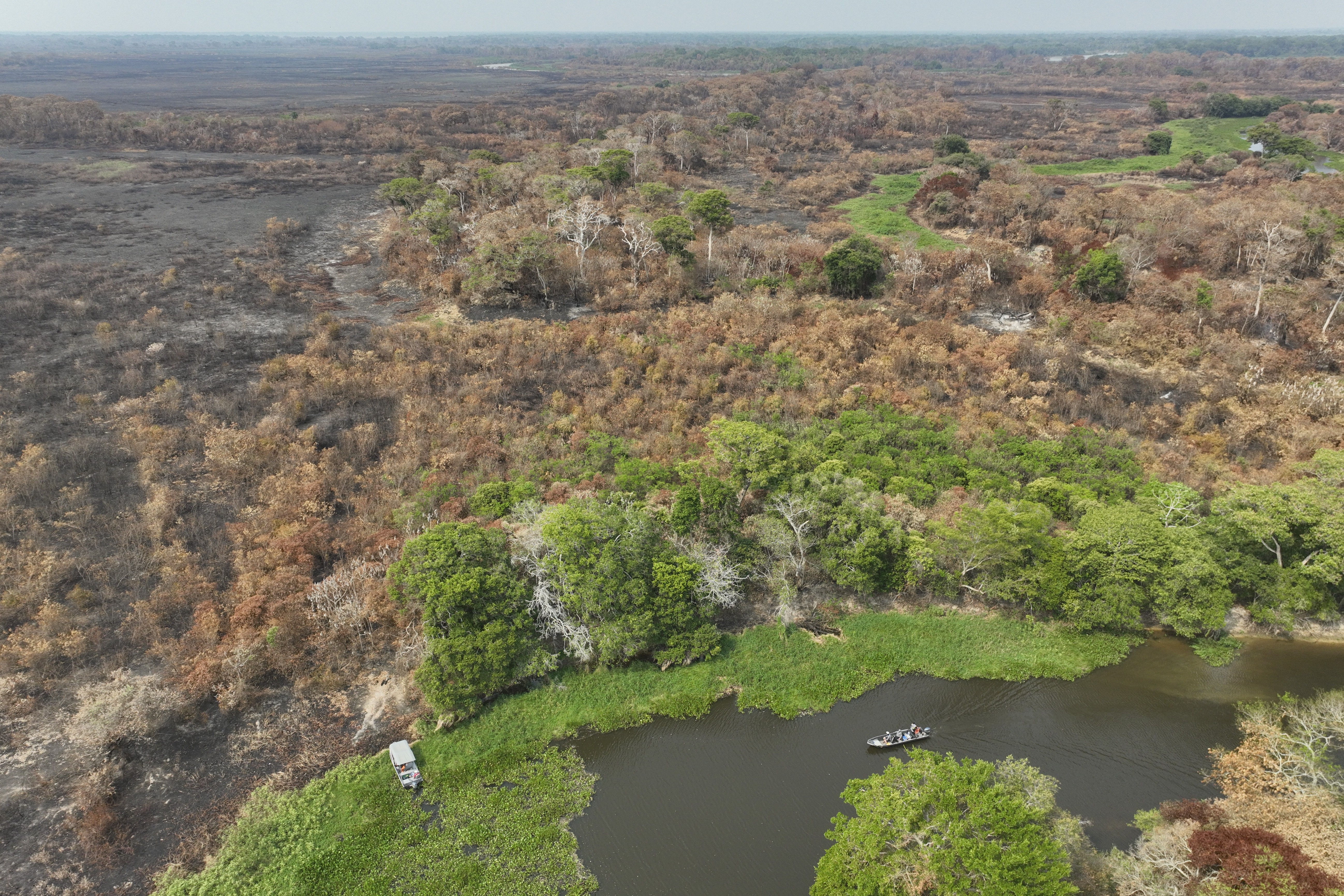 MT inicia operação de combate a incêndios no Pantanal