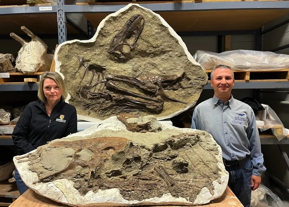 Os cientistas Darla Zelenitsky e François Therrien com o fóssil completo do tiranossauro — Foto: Royal Tyrell Meseum of Palaeontology/BBC