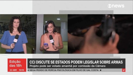 Para flexibilizar armas, Câmara dos Deputados agora foca em dar autonomia aos estados - Programa: Jornal GloboNews edição das 18h 