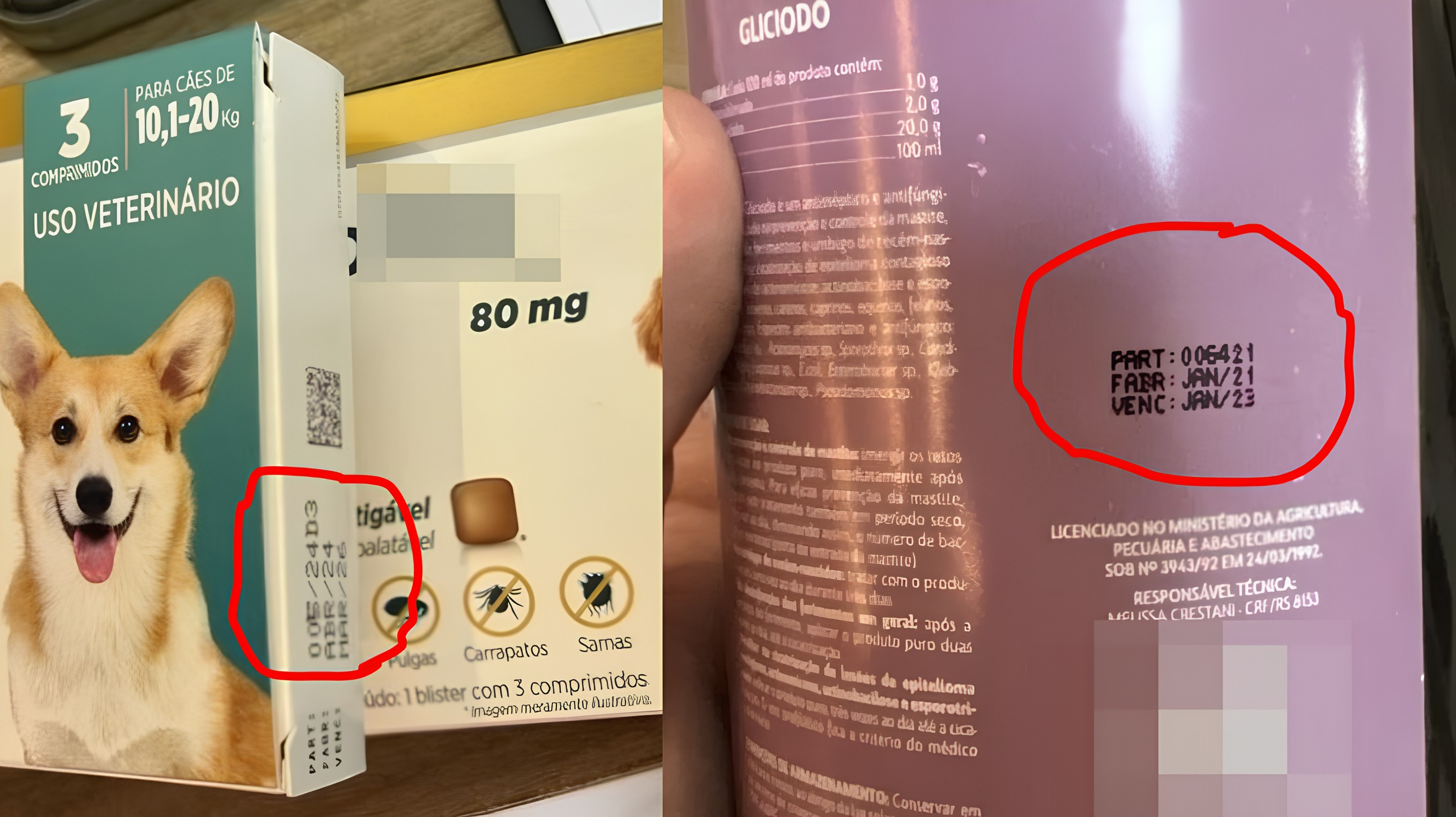 Clínica veterinária é alvo de operação por maus-tratos e venda de remédios vencidos em MT