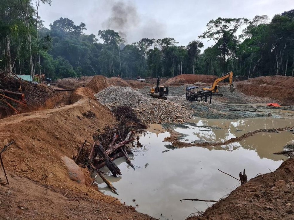 Os suspeitos exploravam recursos naturais pertencentes à União, como minério de ouro e madeira. — Foto: Polícia Civil de Mato Grosso