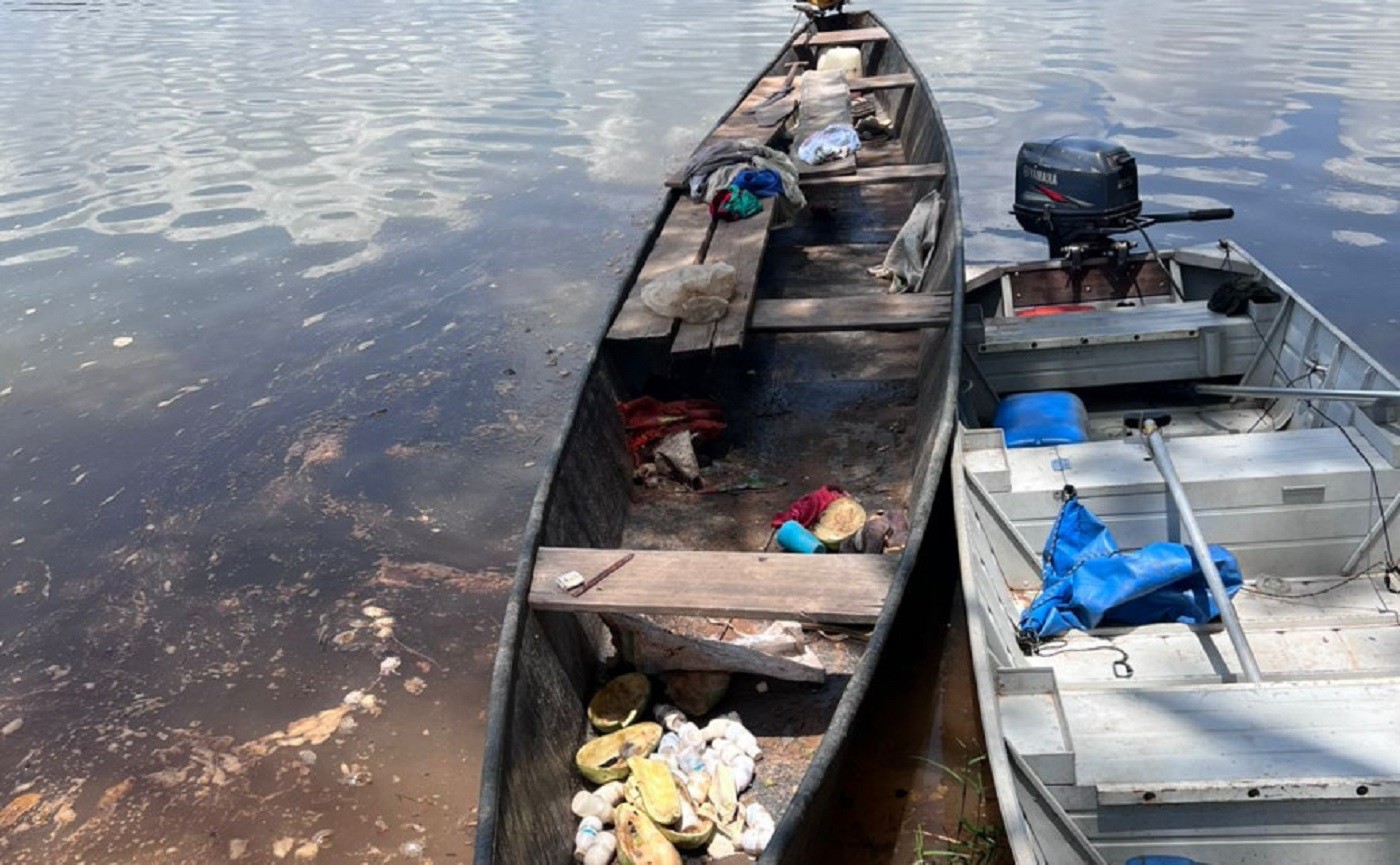Três mil filhotes de tartaruga-da-Amazônia são resgatados pela polícia no Rio Javaés