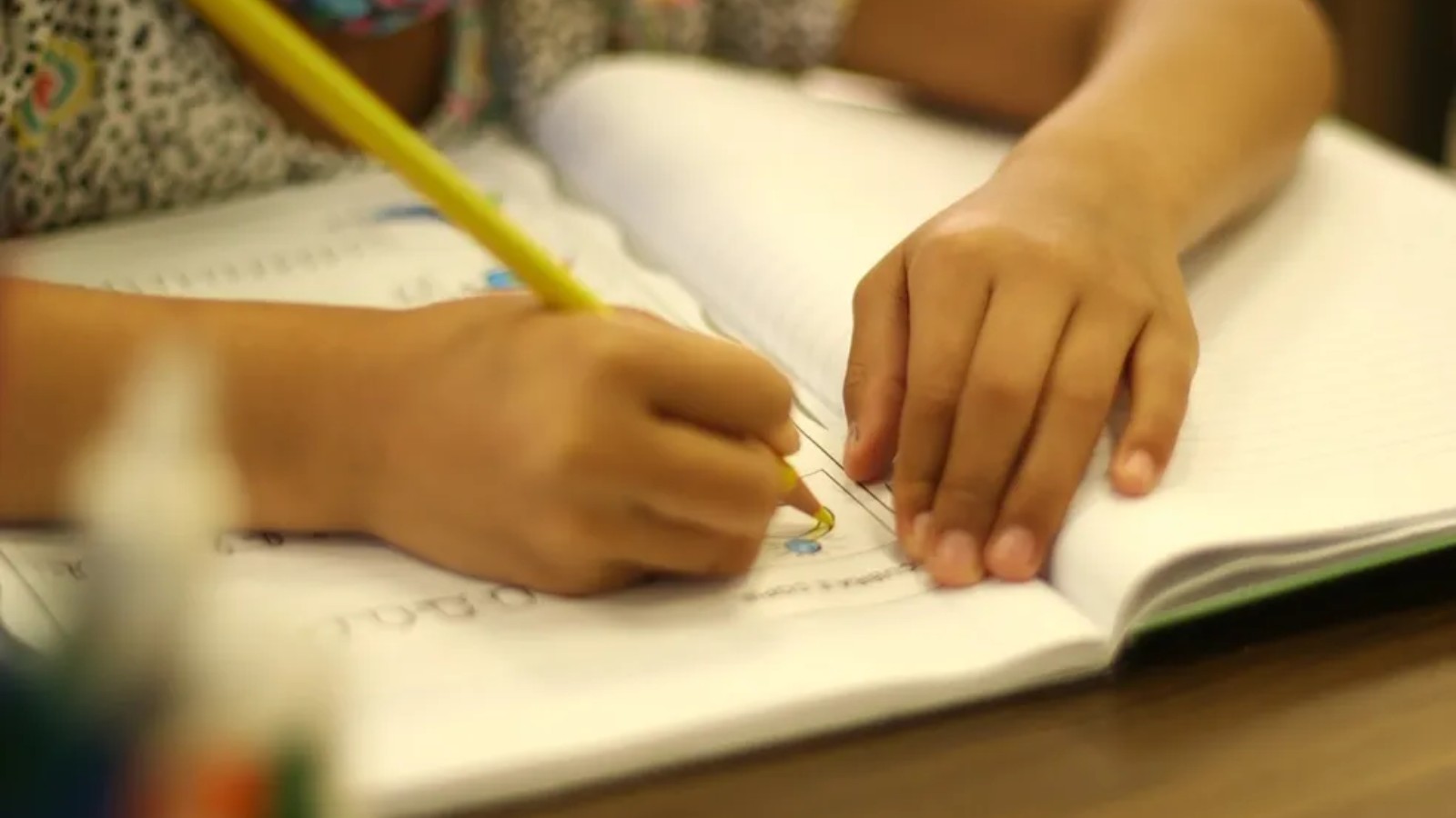 Piauí é único estado brasileiro em que 100% das crianças de quatro e cinco anos frequentam a escola, aponta levantamento