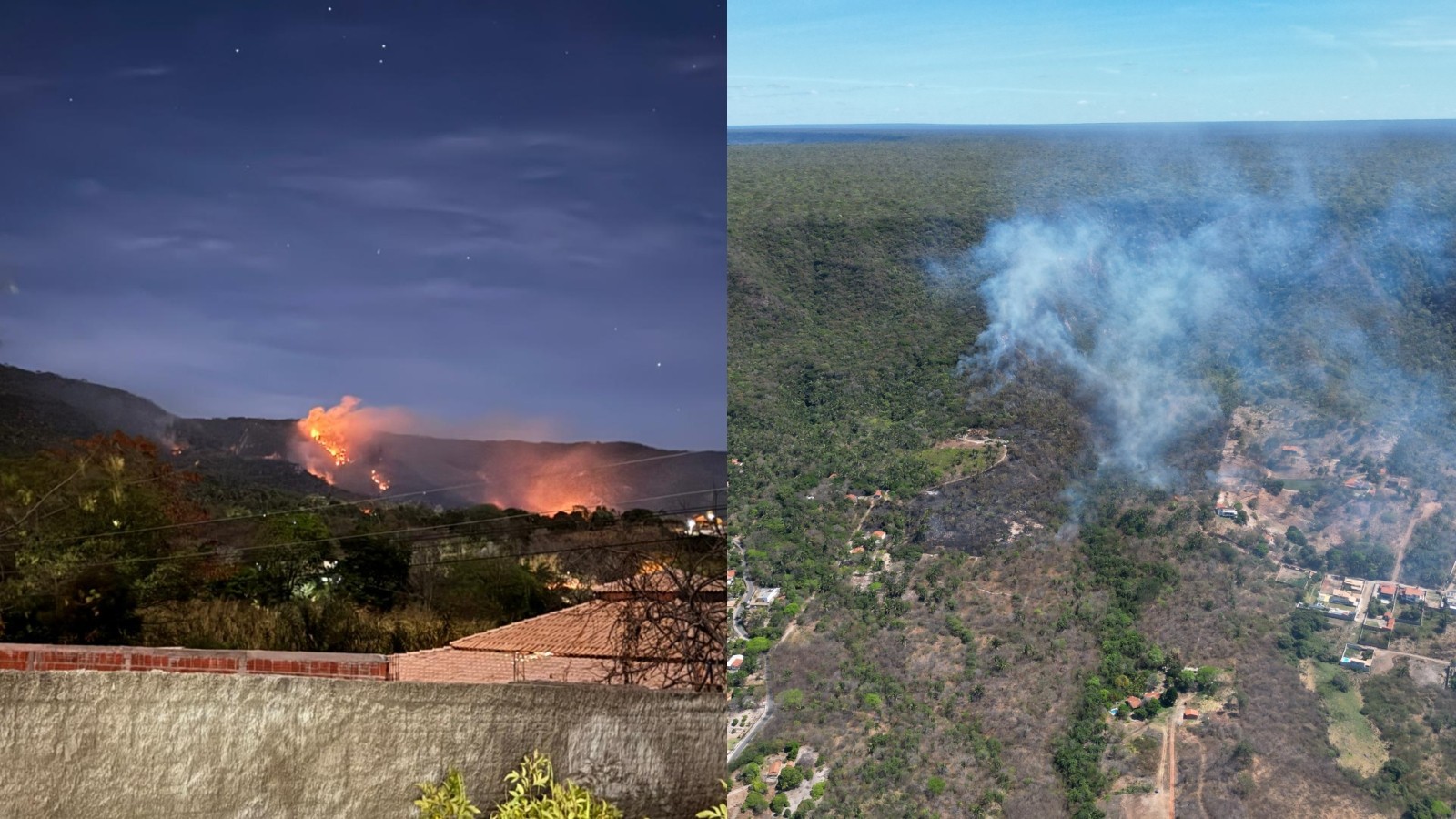 Idoso e adolescente são detidos suspeitos de incêndio criminoso na primeira floresta nacional do Brasil