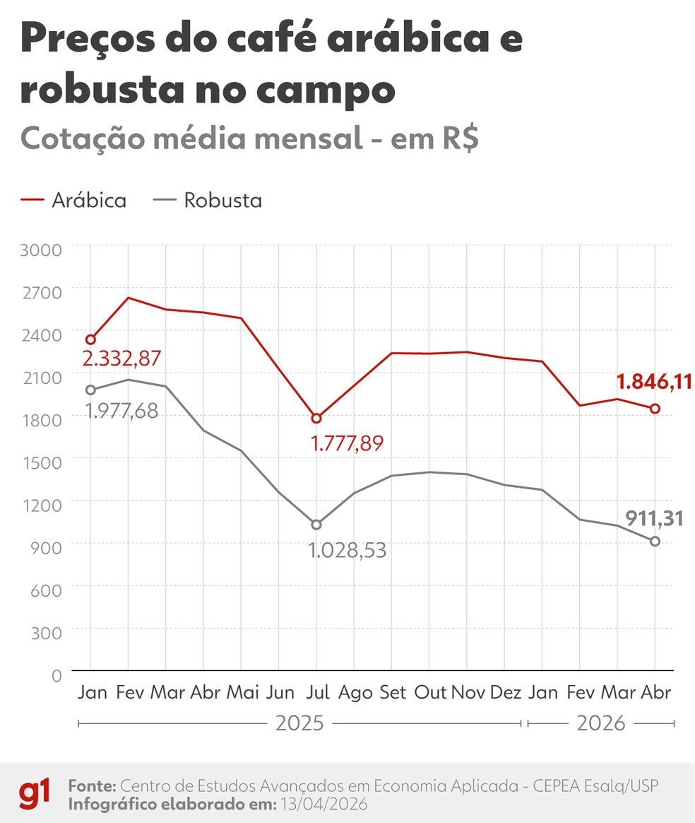 Cotação do café no campo. — Foto: Arte/g1